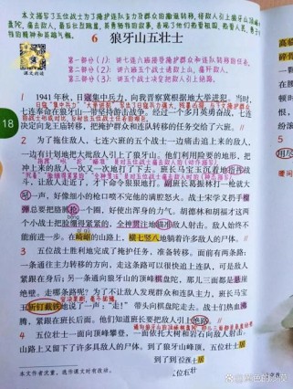 七年级上册语文第6课讲了什么重点内容？