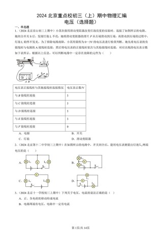 九年级物理电压练习题