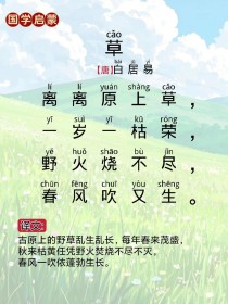 草在古诗中承载了哪些诗意？