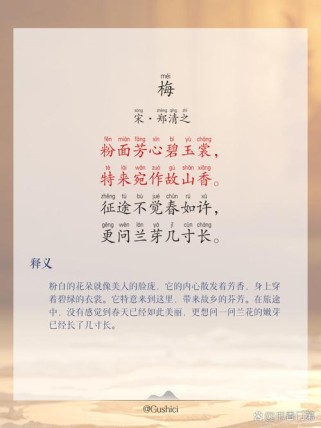 梅魂诗韵藏何句？