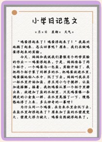 生活中的物理现象作文