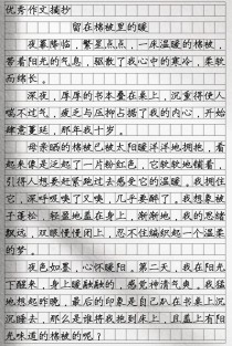 作文题材有哪些？