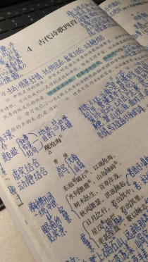 四首古诗有何深意与考点？