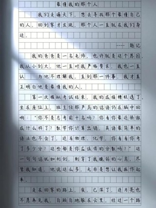 最懂我的那个人作文600字