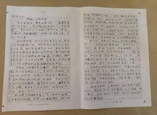 作文那一次让我惊喜