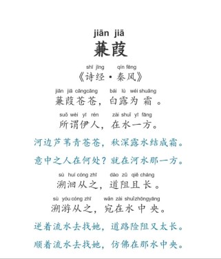 初三下册课外古诗蒹葭