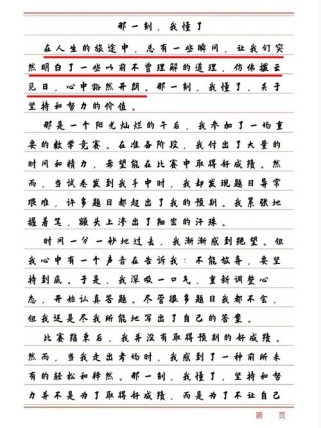 初中作文 我懂了