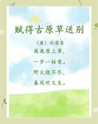 草原古诗句里藏着多少动人的赞美？