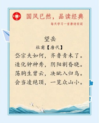 望岳诗中会当凌绝顶的壮志如何体现？