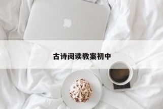 古诗阅读教案初中