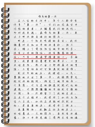 初中作文难忘第一次