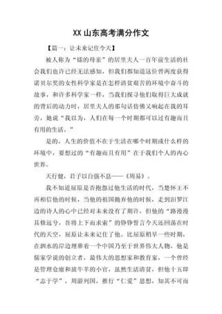 山东2025满分作文有何独到之处？