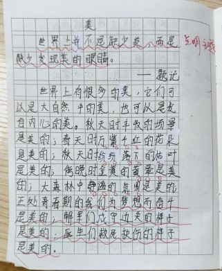 美在身边，初中生如何发现日常之美？