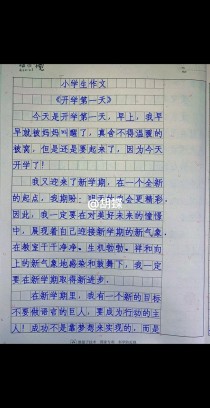开学第一天作文开头