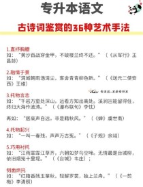 古诗表现手法有哪些常见类型？