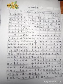 优秀作文如何炼成？议论文写作有何秘诀？