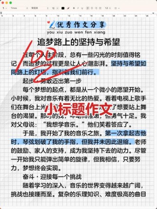 小标题作文的小标题