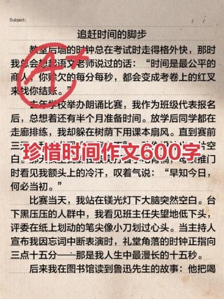 中考满分作文珍惜