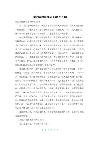 美是什么？如何书写600字的美？