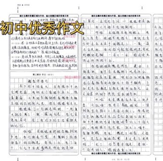 什么伴我走过成长风雨？