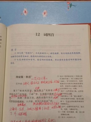 九下课本人教版古诗有哪些必考点？