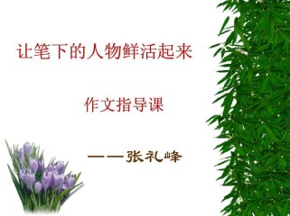 写人的作文的ppt