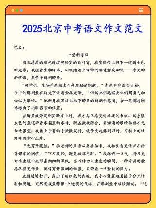 2025年北京中考作文