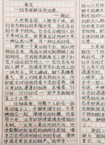 看见600字作文里，藏着怎样的故事与感悟？