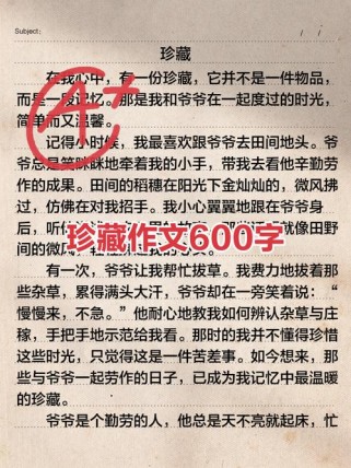 以珍藏为题目的作文