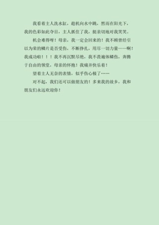 初三的痛与快乐，如何交织成成长？