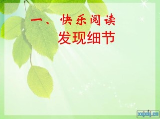 作文细节描写PPT如何提升写作能力？