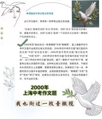 青橄榄的滋味，是酸是甜还是成长的回甘？