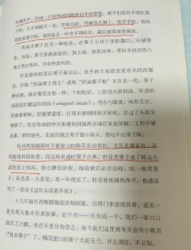 美食作文素材如何积累？