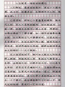 美丽的意外 作文