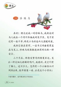 珍珠鸟为何能从怕人到亲近人？