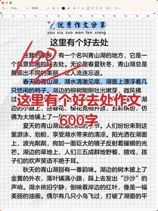 作文 这里也有快乐