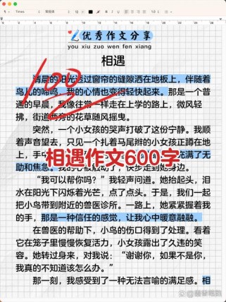 偶然的相遇600字作文