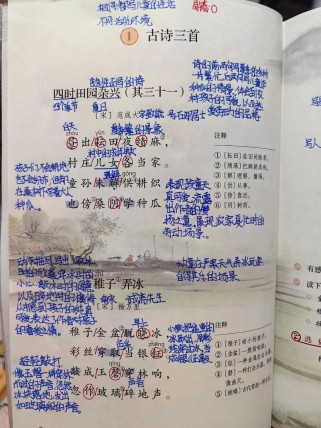 三年级下册五首古诗，学什么重点？