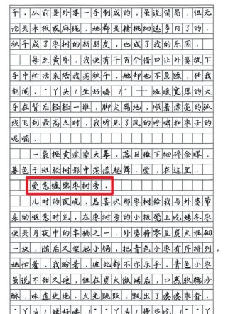 用小标题的形式作文