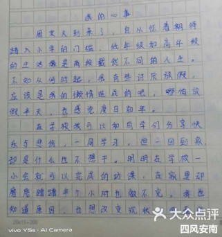 我有一件心事作文