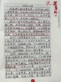 欣赏如何成为另一种独特的美？