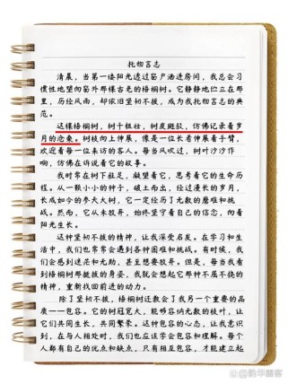 托物言志的作文初二