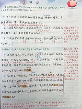 四年级语文下册第三课讲了什么？