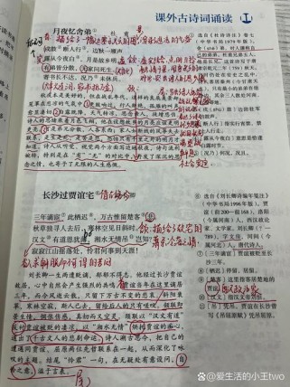 初中古诗课如何教出趣味与深度？