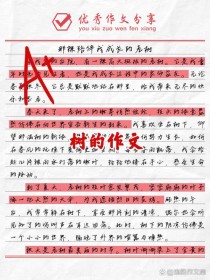 树在作文里，藏着什么故事？
