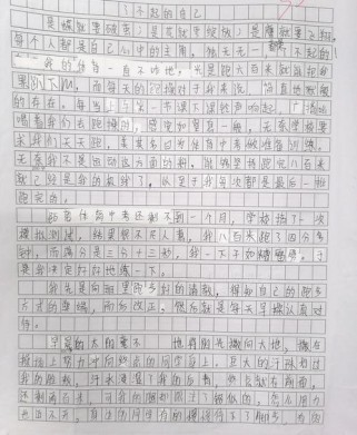初中作文里的了不起，究竟藏着什么？