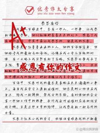 感谢你给的更多作文，能分享写作技巧吗？