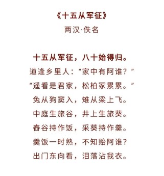 作文改写十五从军征