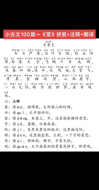 雪中鲁迅寄托了怎样的复杂情感？