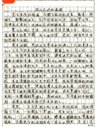 七年级作文总结，如何写好600字？